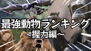 対決!!世界最強動物ランキング~握力編~
