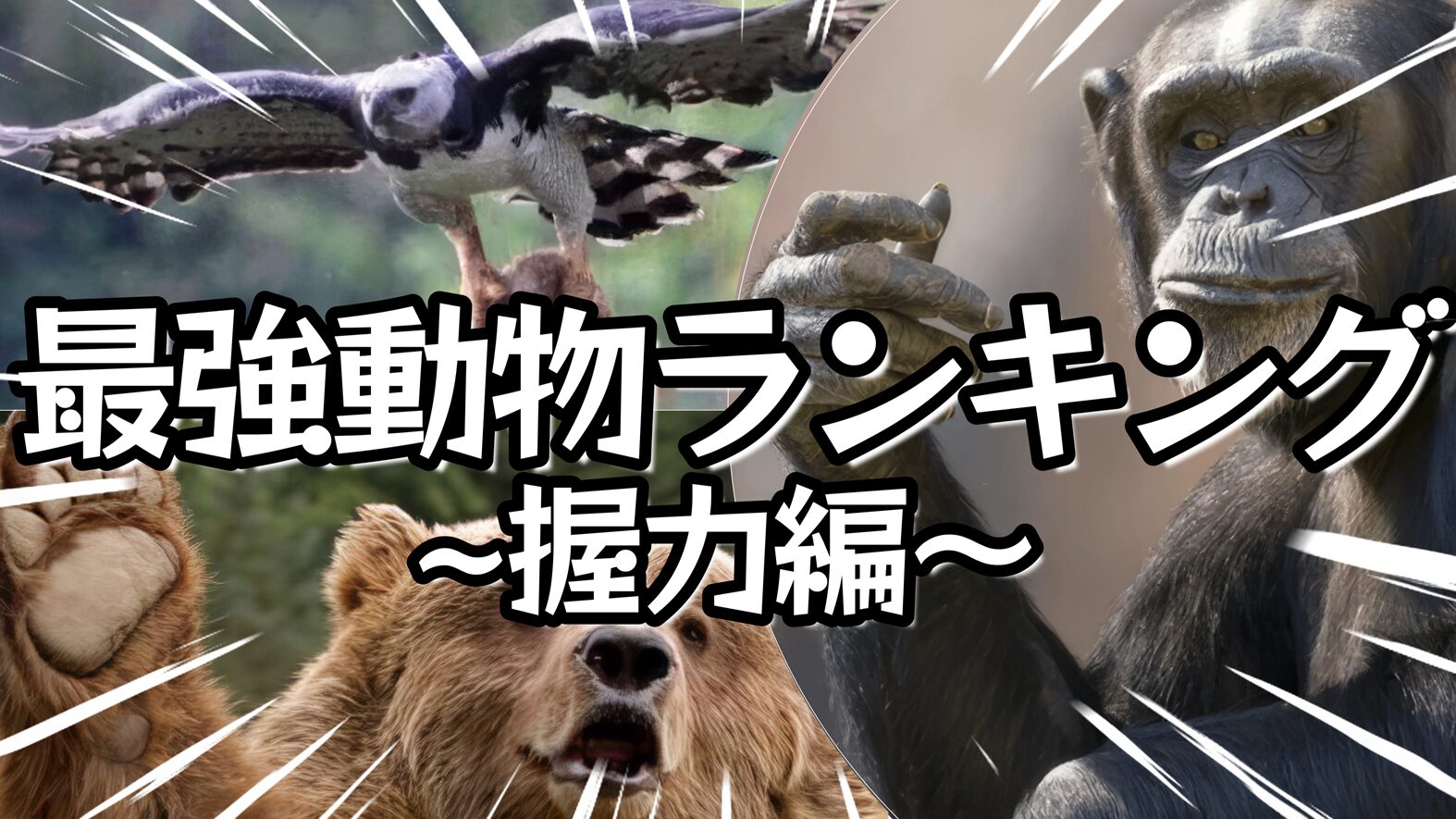対決!!世界最強動物ランキング~握力編~