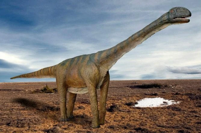 最大恐竜トゥリアサウルス