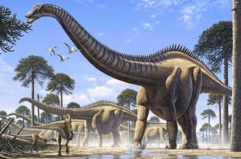 最大恐竜スーパーサウルス
