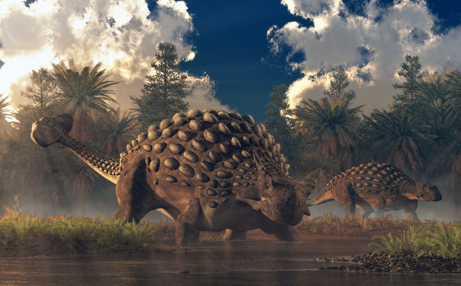人気恐竜　アンキロサウルス