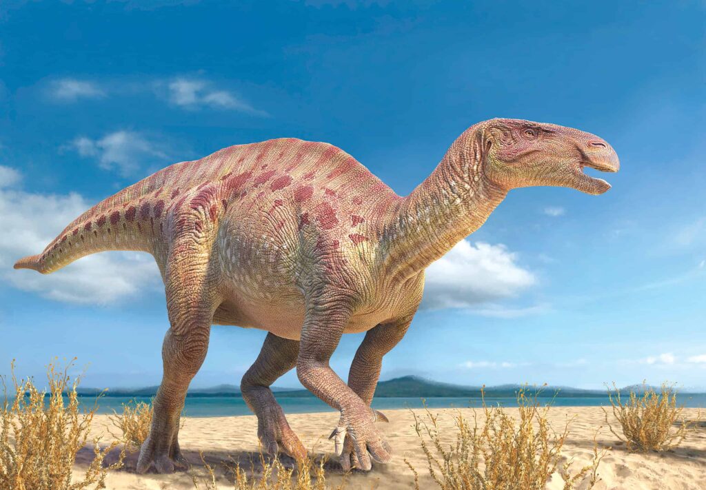 人気恐竜　イグアノドン