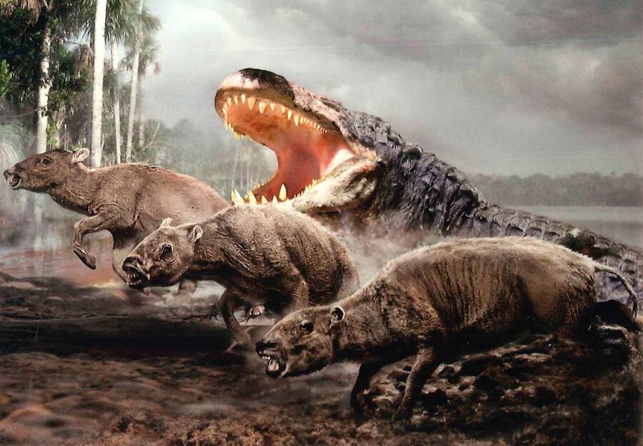 絶滅動物最強　プルスサウルス