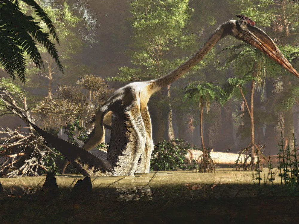 人気恐竜　ケツァルコアトルス