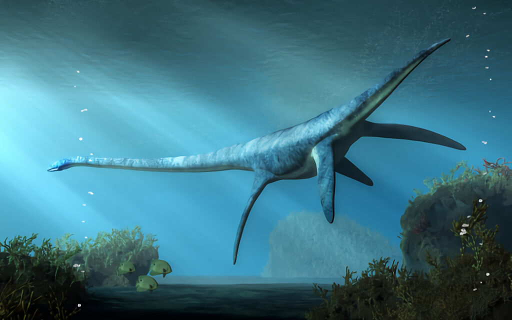 絶滅動物 水中編 エラスモサウルス