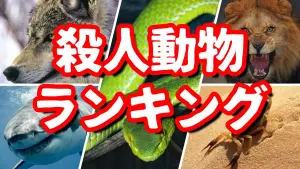 世界で最も人間を殺している動物ランキング