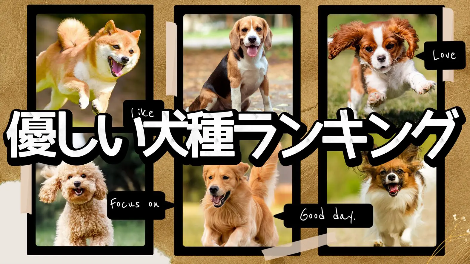 やさしい犬種ランキング