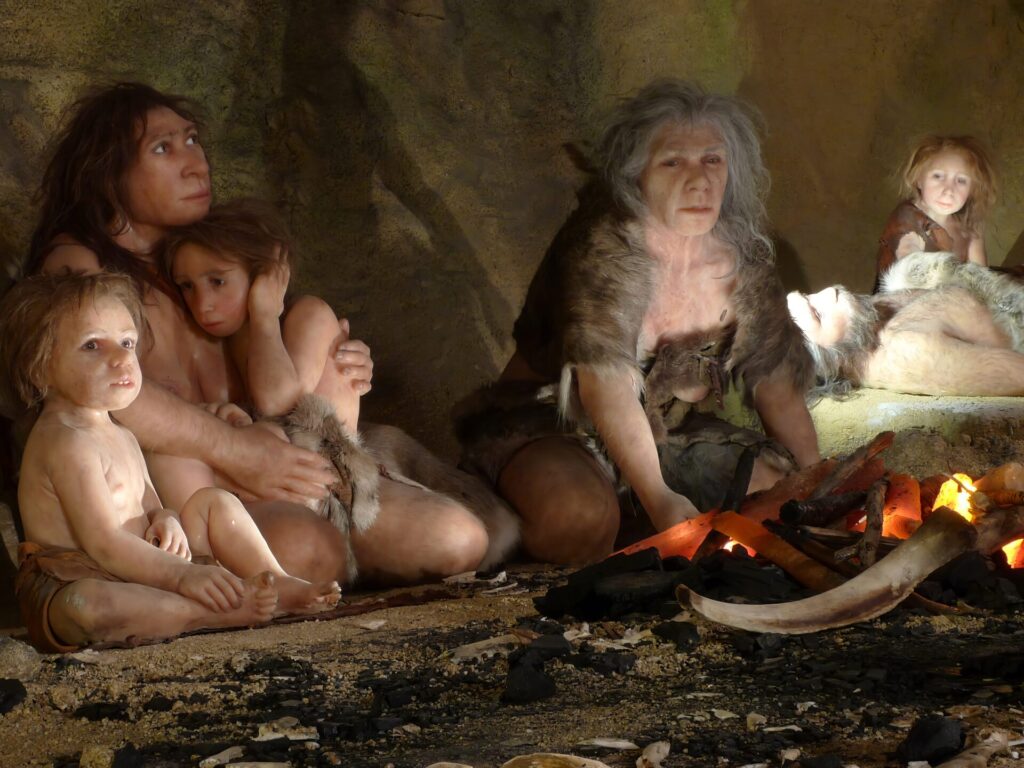 ヒト属最強ランキング 2位 ホモ・ネアンデルターレンシス