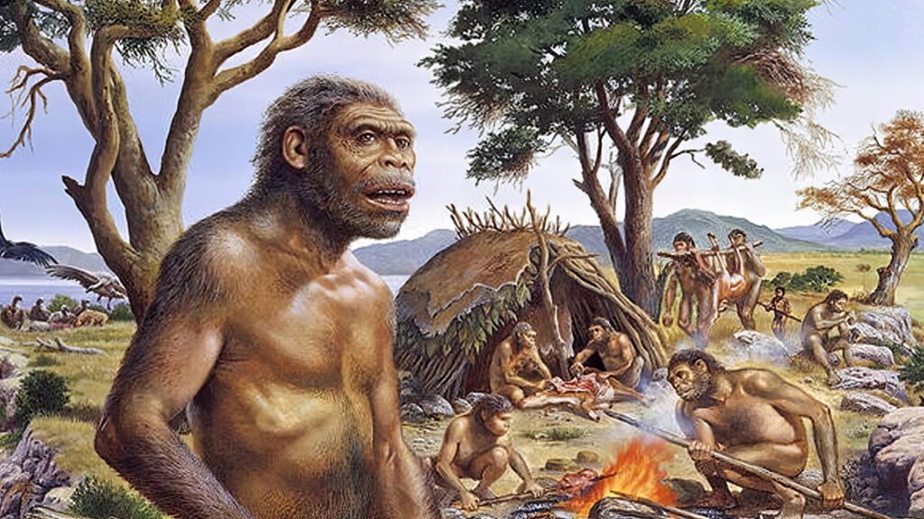 ヒト属最強ランキング 4位 ホモ・エレクトス