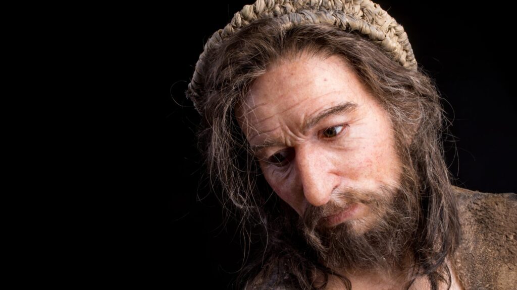 ヒト属最強ランキング 1位 ホモ・サピエンス