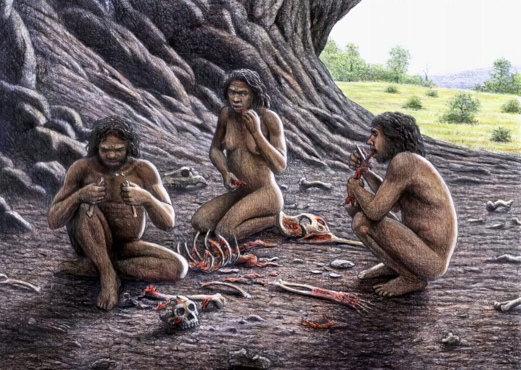 ヒト属最強ランキング 6位 ホモ・アンテセッサー