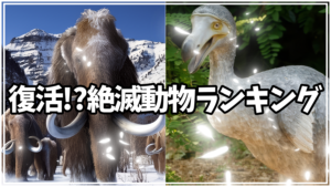 ＠ジャイアントモア