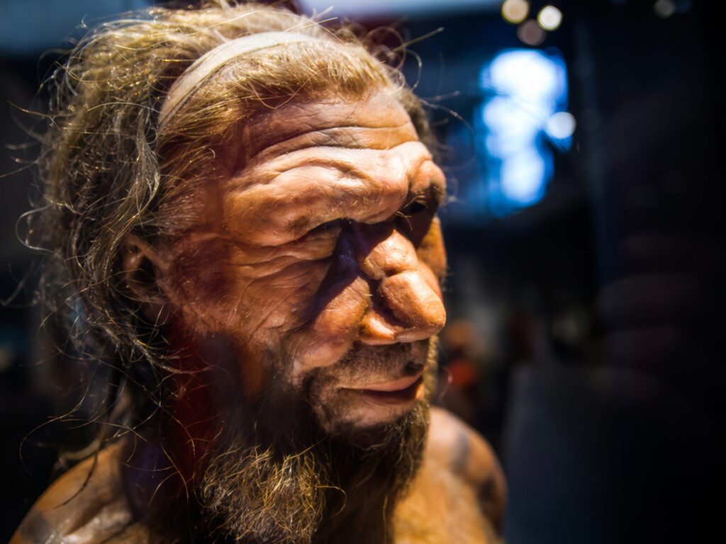 復活の可能性がある絶滅動物ランキング　1位　ネアンデルタール人