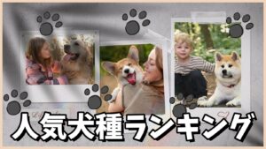 人気犬種ランキング~2025年最新版~