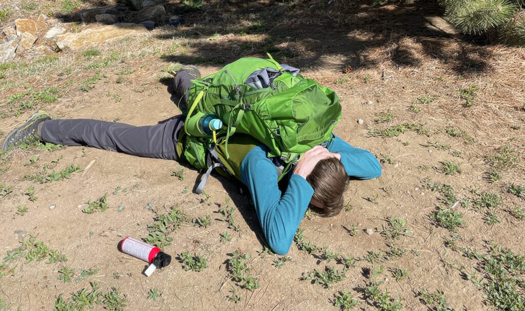 クマに出会った時の対処法　2位　攻撃を避けられない場合は「防御姿勢」をとる