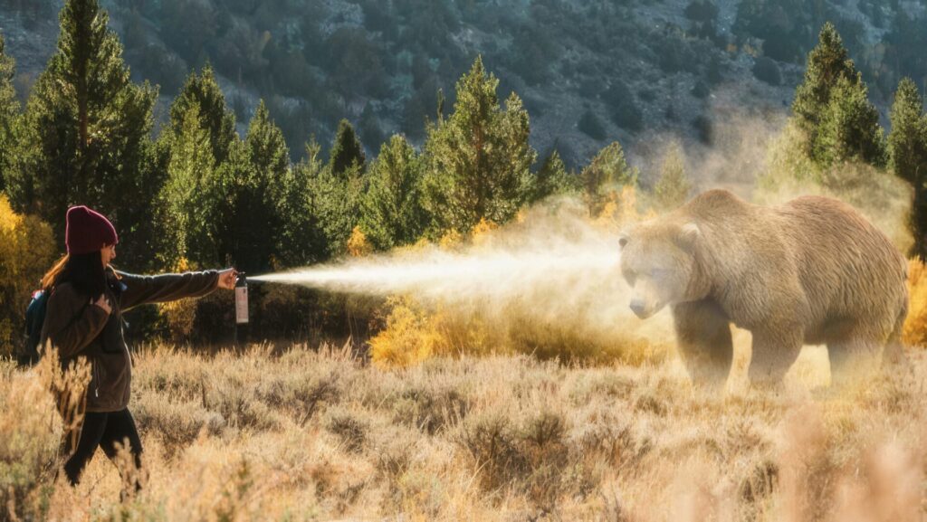 クマに出会った時の対処法　3位　クマ撃退スプレーを携行する