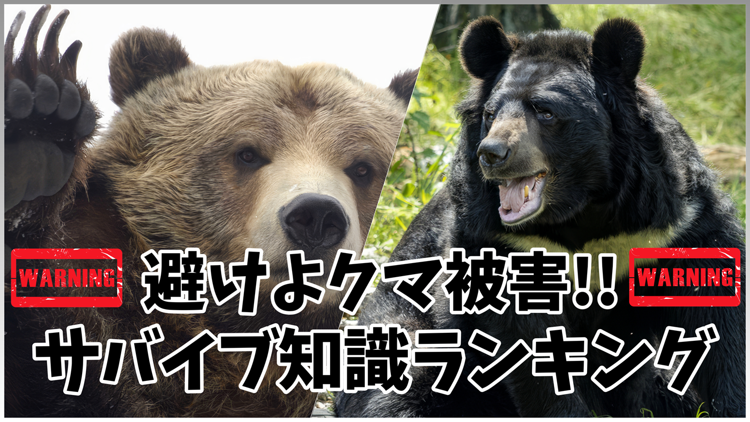 避けよクマ被害!!サバイブ知識ランキング